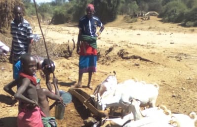 Nomadic pastoralists with their livestock in Lekurruki, Northern Kenya