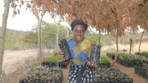 Working with Ecosia to plant 200,000 trees across southeast Kenya (update)