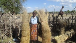 Conserving the environment and building climate resilience in Zimbabwe