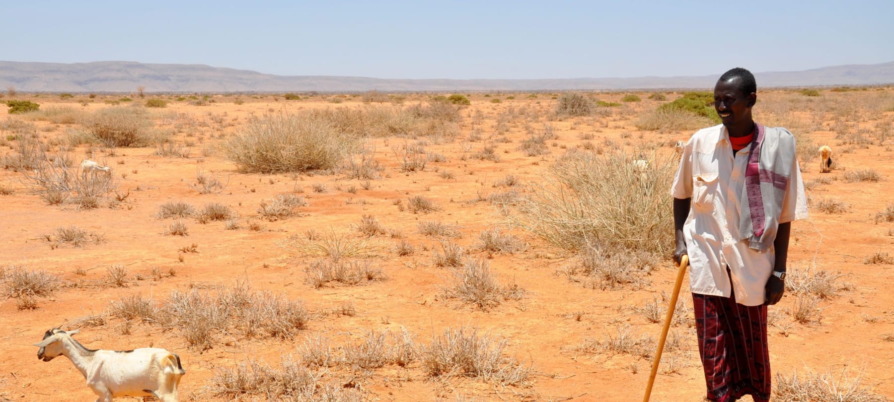 Sand dams offer a possible solution to climate change and drought in Somaliland