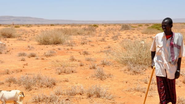 Sand dams offer a possible solution to climate change and drought in Somaliland