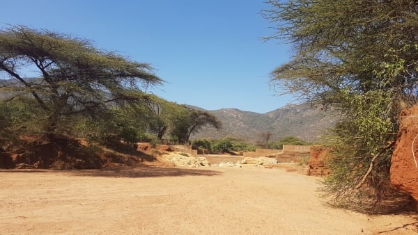 Scaling up sand dam impact for pastoralists and wildlife in northern Kenya